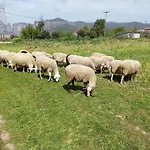 Lejlighed Meteora Countryside