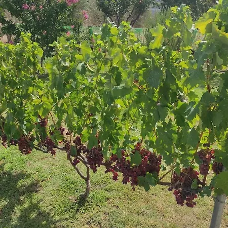 شقة Meteora Countryside *