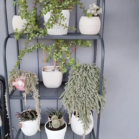 شقة Meteora Countryside *