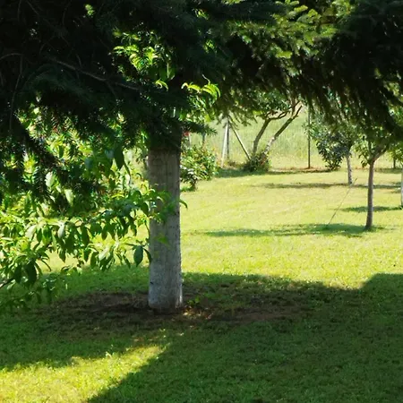 Meteora Countryside شقة