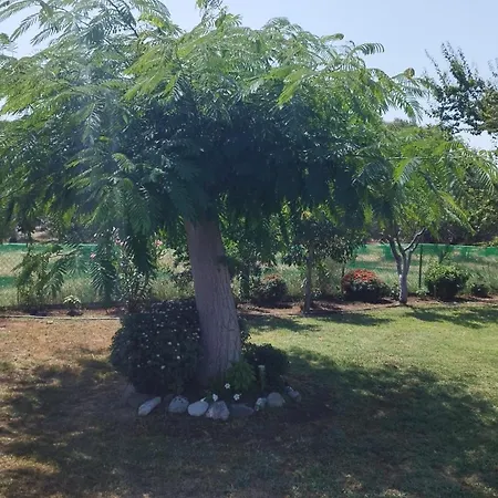 Meteora Countryside شقة كالامباكا