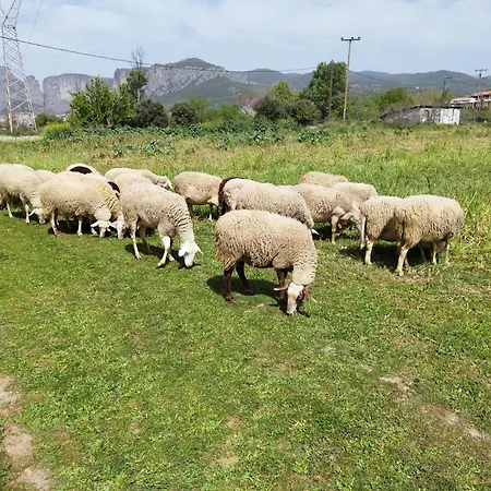 Lägenhet Meteora Countryside