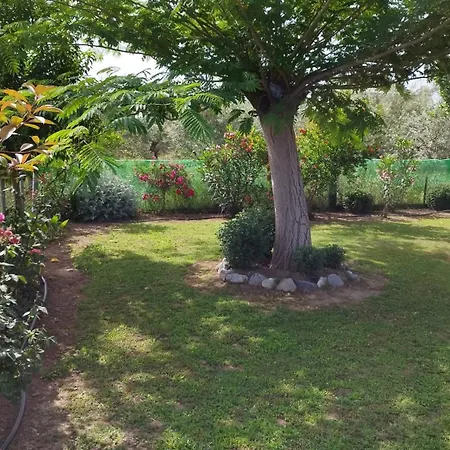 公寓 Meteora Countryside 卡兰巴卡