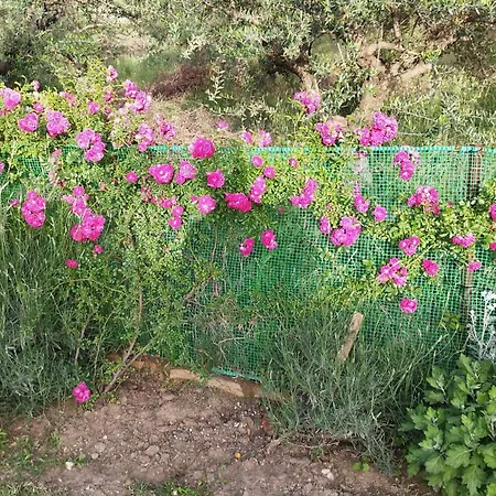 Meteora Countryside *