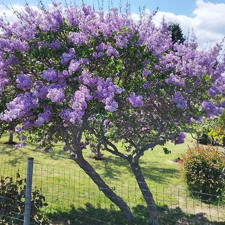Meteora Countryside * 卡兰巴卡