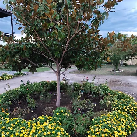 Meteora Countryside * 卡兰巴卡