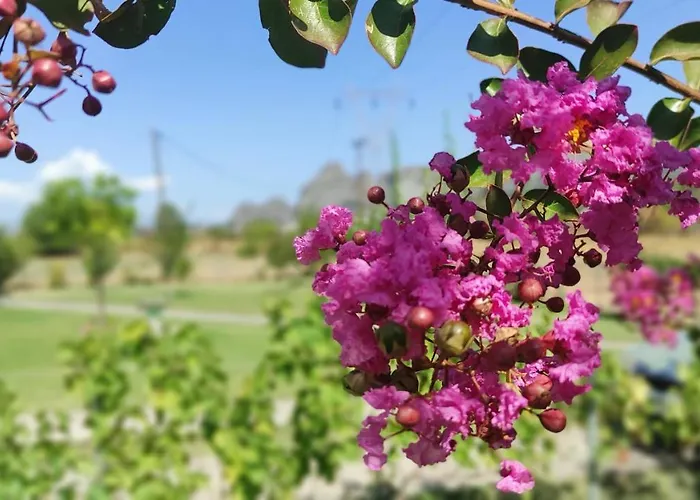 Meteora Countryside * Kalambáka