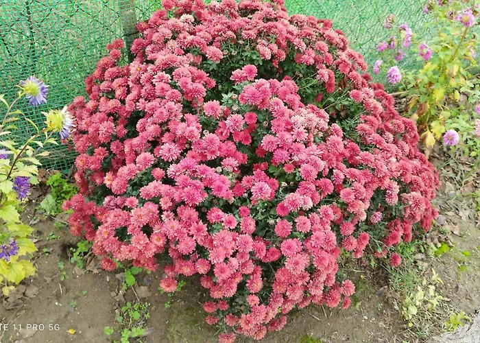 Meteora Countryside Kalambáka