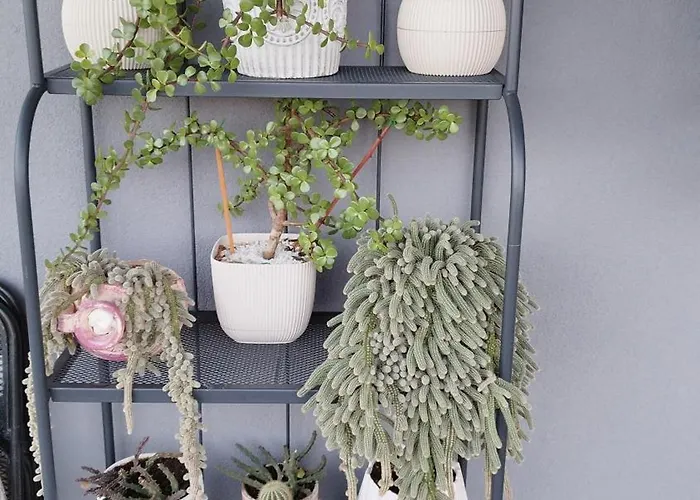 דירה Meteora Countryside *