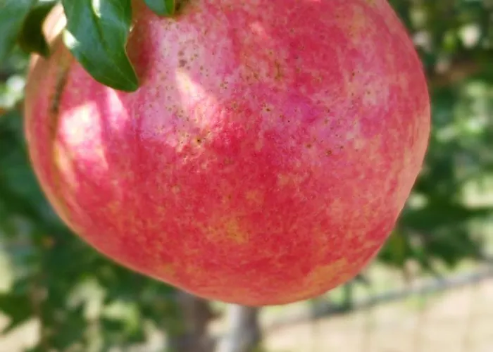 Meteora Countryside Kalambáka