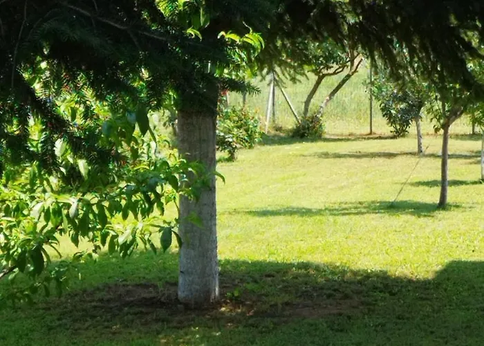 Meteora Countryside דירה