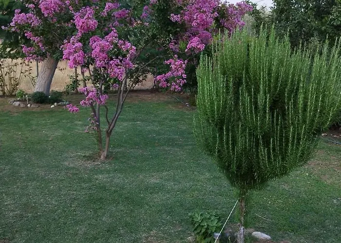 Meteora Countryside * קאלאבאקה