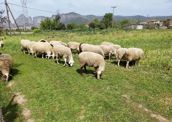 Apartman Meteora Countryside