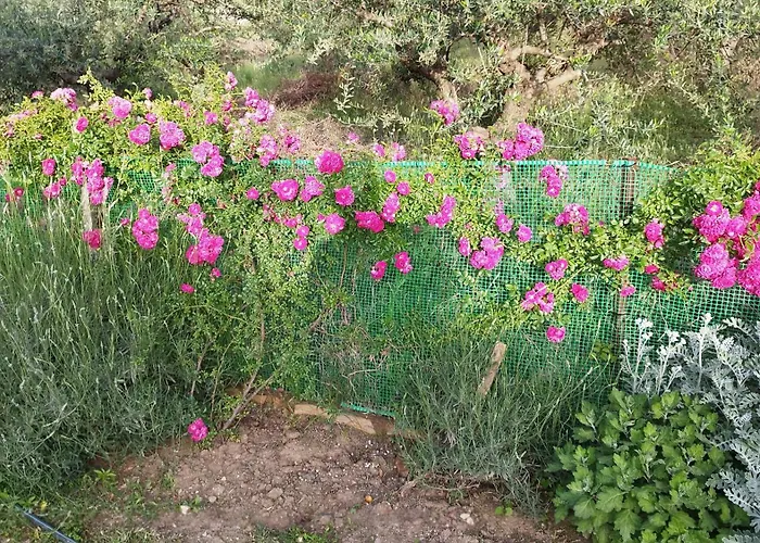 Meteora Countryside *