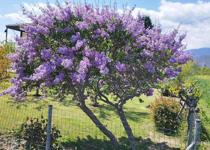 Meteora Countryside * Kalambáka